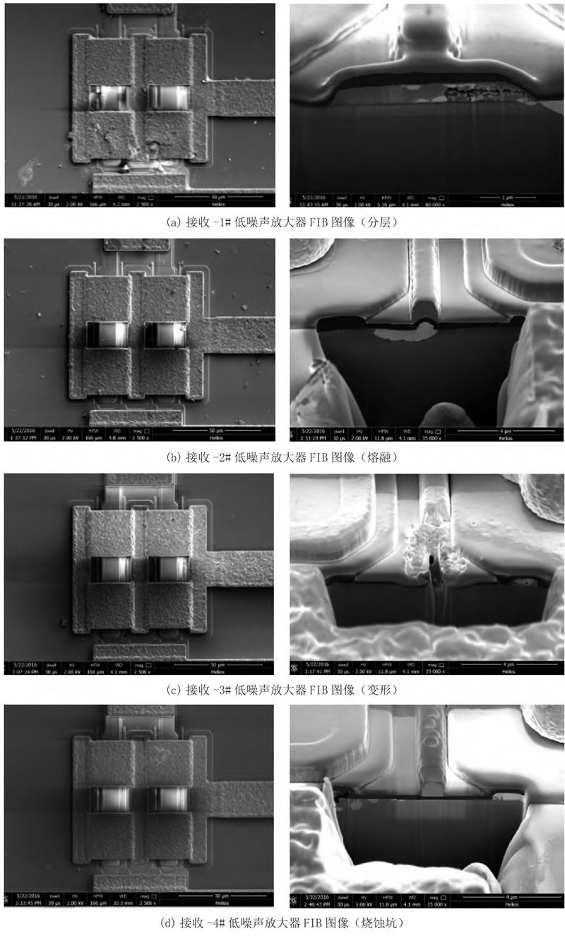 HJJJ202407008_10200.jpg HJJJ202407008_10200.jpg