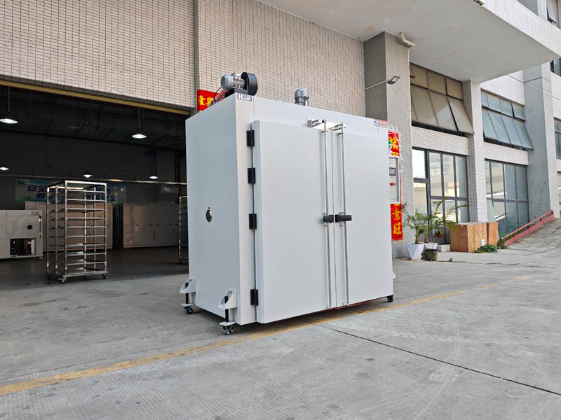 IMG_20250308_100307.jpg IMG_20250308_100307.jpg