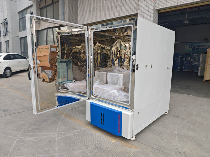 IMG_20251110_122401.jpg IMG_20251110_122401.jpg