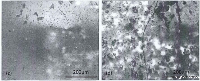 led模组恒温恒湿试验箱对led的湿热老化实验(图4)